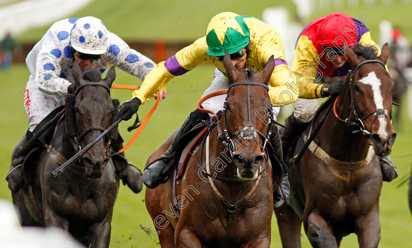 Champagne-Well-0006 
 CHAMPAGNE WELL (Paddy Brennan) wins The Ballymore Novices Hurdle
Cheltenham 25 Oct 2019 - Pic Steven Cargill / Racingfotos.com