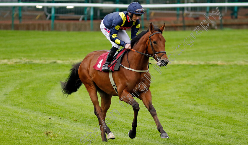 Moon-Sniper-0001 
 MOON SNIPER (Lewis Edmunds)
Haydock 24 May 2024 - Pic Steven cargill / Racingfotos.com