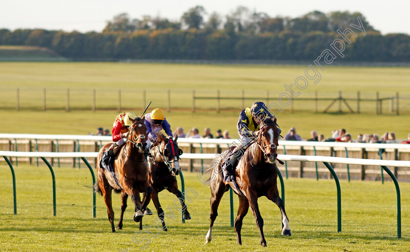 Repercussion-0001 
 REPERCUSSION (Stevie Donohoe) wins The Molson Coors Handicap Newmarket 28 Sep 2017 - Pic Steven Cargill / Racingfotos.com