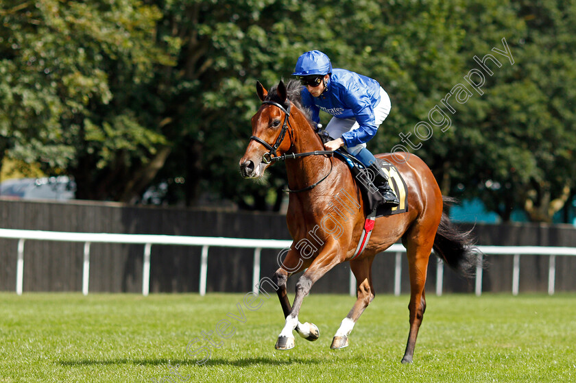 Wild-Beauty-0001 
 WILD BEAUTY (William Buick)
Newmarket 7 Aug 2021 - Pic Steven Cargill / Racingfotos.com