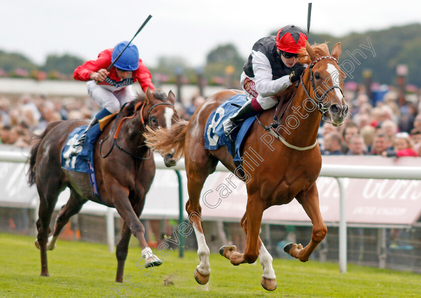 Search-For-A-Song-0005 
 SEARCH FOR A SONG (Oisin Murphy) wins The British EBF & Sir Henry Cecil Galtres Stakes
York 22 Aug 2019 - Pic Steven Cargill / Racingfotos.com