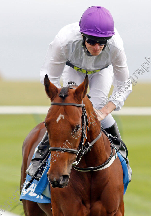 Flaming-Princess-0001 
 FLAMING PRINCESS (Barry McHugh)
Newmarket 11 Oct 2019 - Pic Steven Cargill / Racingfotos.com