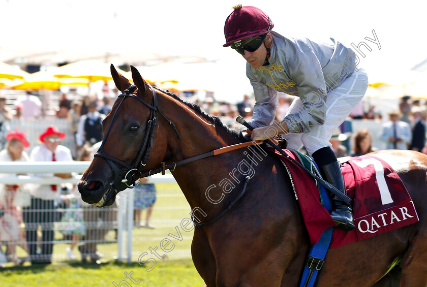 Karar-0001 
 KARAR (Gregory Benoist)
Goodwood 31 Jul 2018 - Pic Steven Cargill / Racingfotos.com