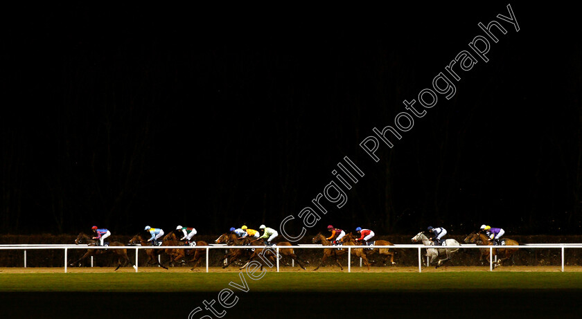 She s-Got-You-0002 
 SHE'S GOT YOU (10, Robert Havlin) in third place on her way to winning The Ladbrokes Home Of The Odds Boost Fillies Novice Stakes Div1
Wolverhampton 10 Dec 2018 - Pic Steven Cargill / Racingfotos.com