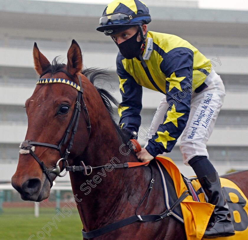 Surrey-Pride-0001 
 SURREY PRIDE (Ray Dawson)
Doncaster 7 Nov 2020 - Pic Steven Cargill / Racingfotos.com