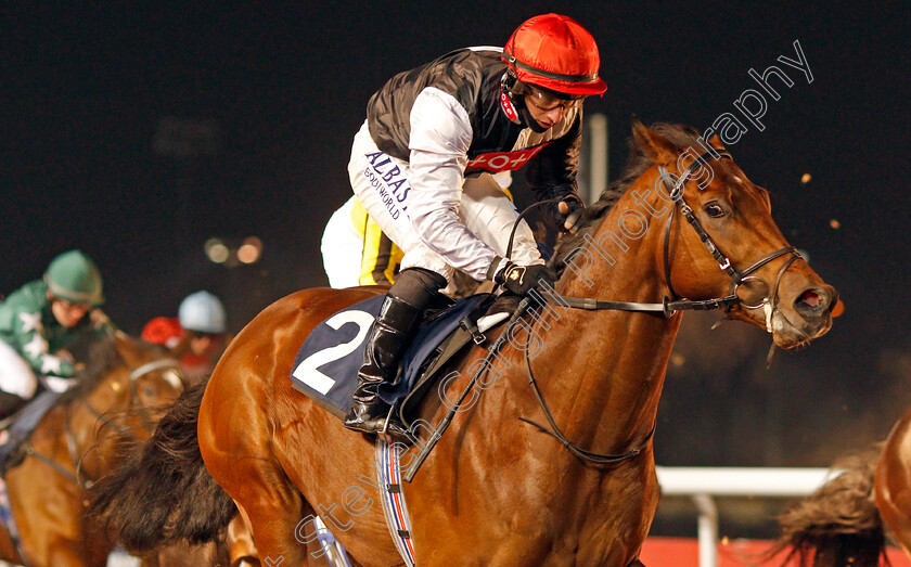 Alto-Volante-0010 
 ALTO VOLANTE (Tom Marquand) wins The Get Your Ladbrokes Odds Boost Novice Stakes
Wolverhampton 7 Jan 2021 - Pic Steven Cargill / Racingfotos.com