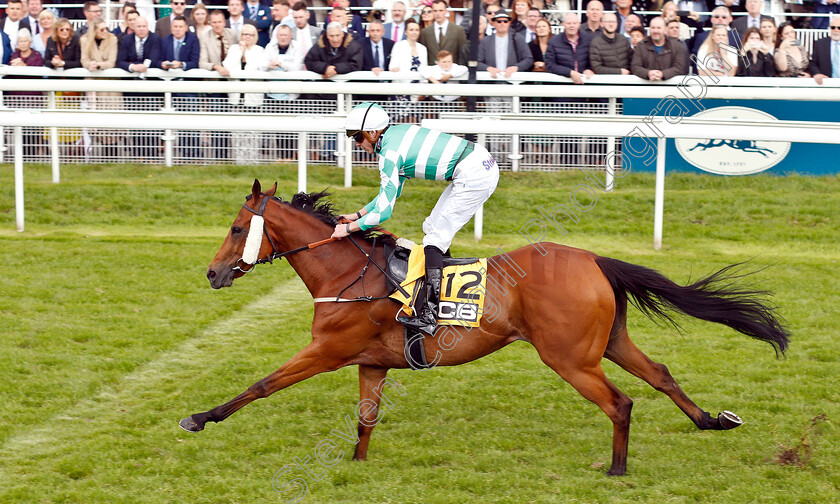 Firmament-0006 
 FIRMAMENT (James Doyle) wins The JCB Handicap
York 15 Jun 2019 - Pic Steven Cargill / Racingfotos.com