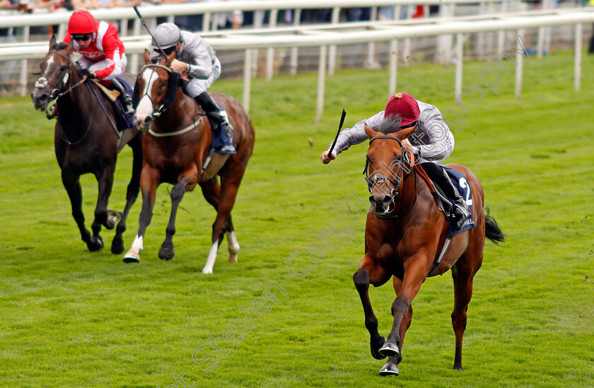 Lusail-0003 
 LUSAIL (Pat Dobbs) wins The Al Basti Equiworld Gimcrack Stakes
York 20 Aug 2021 - Pic Steven Cargill / Racingfotos.com