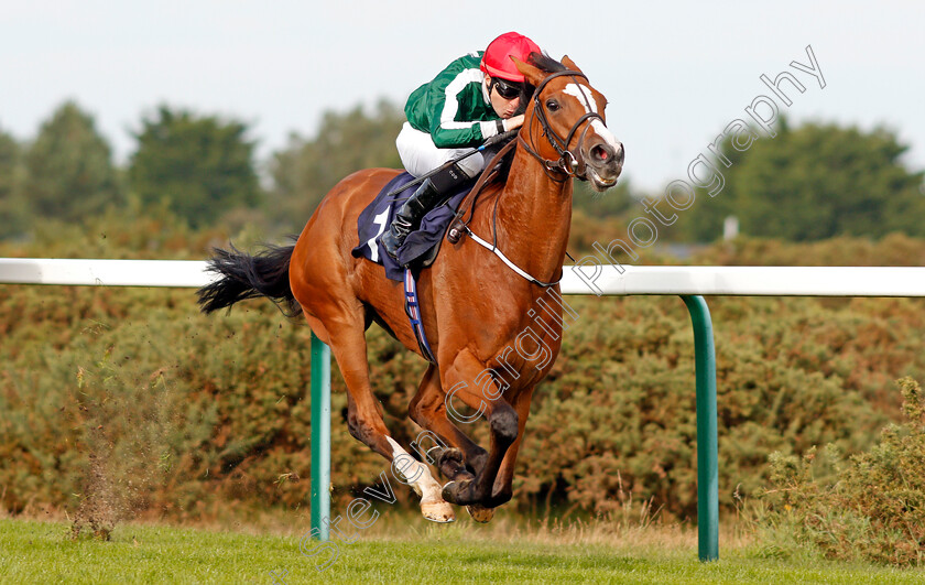 Beautiful-Morning-0005 
 BEAUTIFUL MORNING (Colm O'Donoghue) wins The EBF Stallions John Musker Fillies Stakes Yarmouth 20 Sep 2017 - Pic Steven Cargill / Racingfotos.com