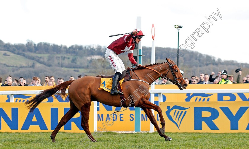 Balko-Des-Flos-0003 
 BALKO DES FLOS (Davy Russell) wins The Ryanair Chase Cheltenham 15 Mar 2018 - Pic Steven Cargill / Racingfotos.com