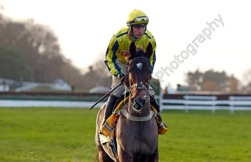 Haddex-Des-Obeaux-0003 
 HADDEX DES OBEAUX (Jack Tudor)
Sandown 9 Dec 2023 - Pic Steven Cargill / Racingfotos.com