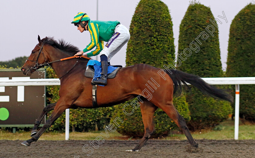 Carpathian-0001 
 CARPATHIAN (Daniel Muscutt) wins The Try Unibet's Improved Bet Builder Fillies Handicap
Kempton 28 Aug 2024 - Pic Steven Cargill / Racingfotos.com