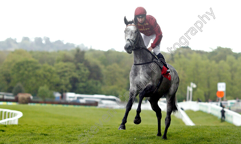 Sparkle-Roll-0001 
 SPARKLE ROLL (Oisin Murphy) before The Nordoff Robbins Sir George Martin Memorial Fillies Novice Stakes
Sandown 26 Apr 2019 - Pic Steven Cargill / Racingfotos.com