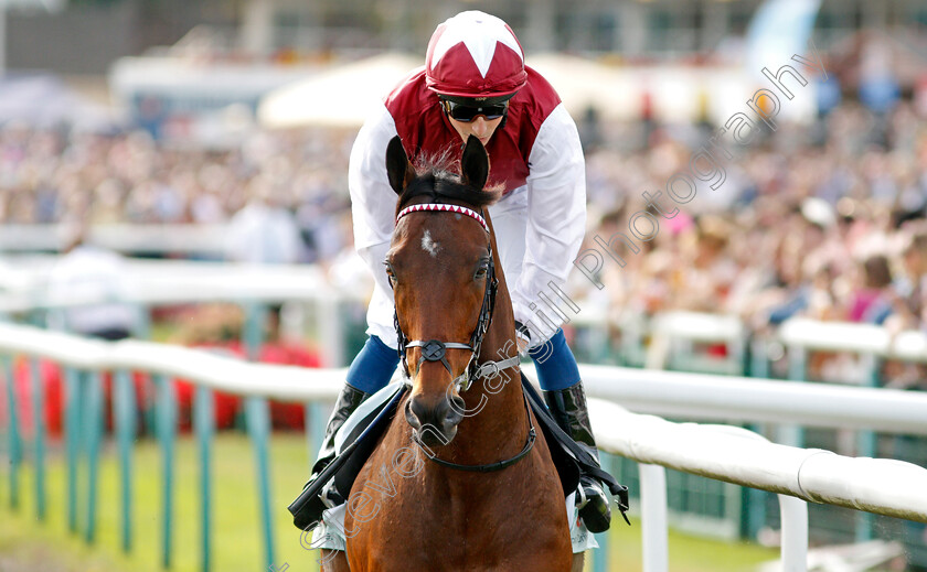 Glorious-Journey-0001 
 GLORIOUS JOURNEY (William Buick) winner of The Cazoo Park Stakes
Doncaster 11 Sep 2021 - Pic Steven Cargill / Racingfotos.com