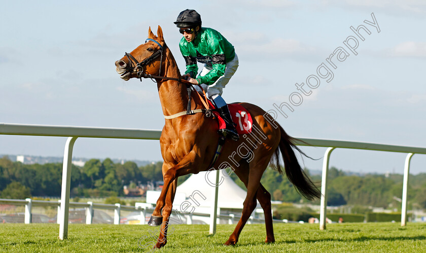 Nonsuch-Lad-0001 
 NONSUCH LAD (William Buick)
Sandown 25 May 2023 - Pic Steven Cargill / Racingfotos.com