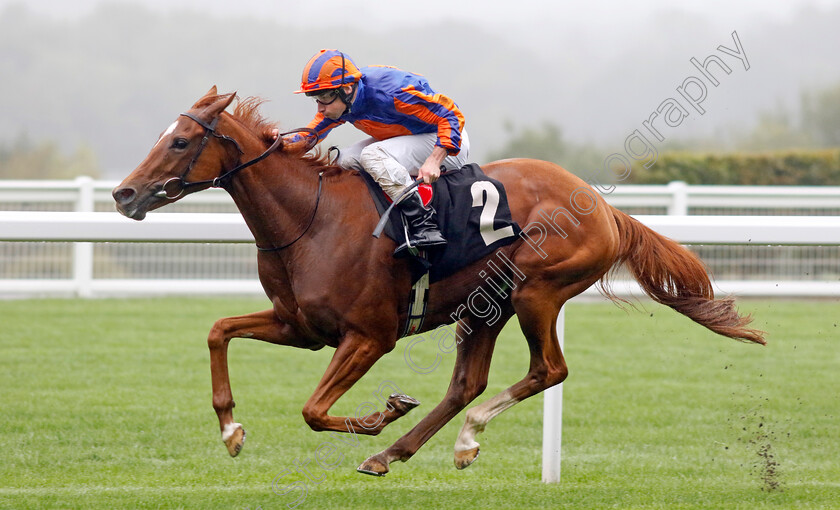 Ballet-Slippers-0002 
 BALLET SLIPPERS (Ryan Moore) wins The Wesco Anixter EBF Fillies Novice Stakes
Ascot 6 Sep 2024 - Pic Steven Cargill / Racingfotos.com