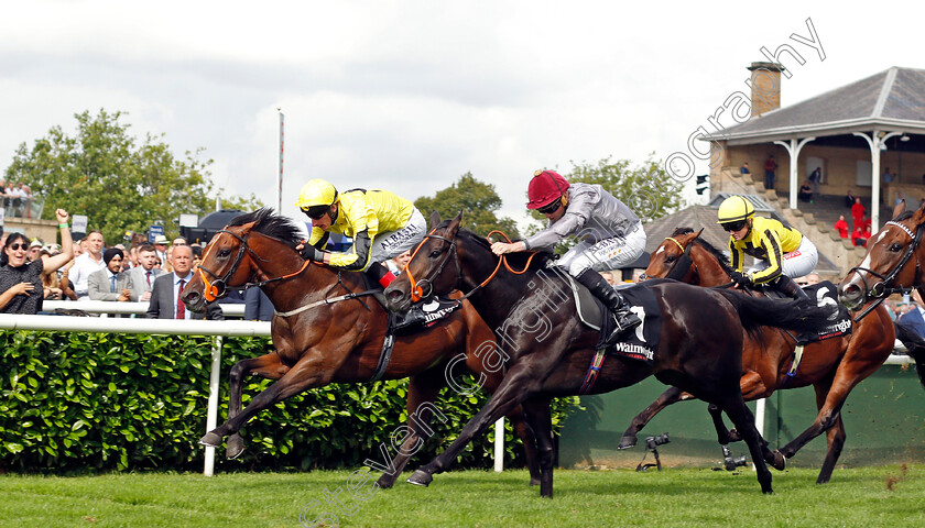 Caturra-0003 
 CATURRA (left, Adam Kirby) beats ARMOR (centre) in The Wainwright Flying Childers Stakes
Doncaster 10 Sep 2021 - Pic Steven Cargill / Racingfotos.com