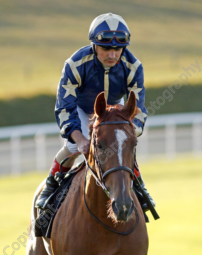 Seeola-0001 
 SEEOLA (Andrea Atzeni)
Goodwood 26 Aug 2022 - Pic Steven Cargill / Racingfotos.com