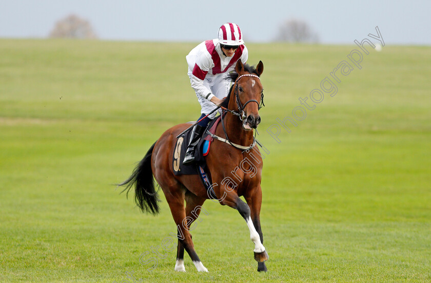 Rodolfo-0001 
 RODOLFO (George Wood)
Newmarket 29 Oct 2021 - Pic Steven Cargill / Racingfotos.com