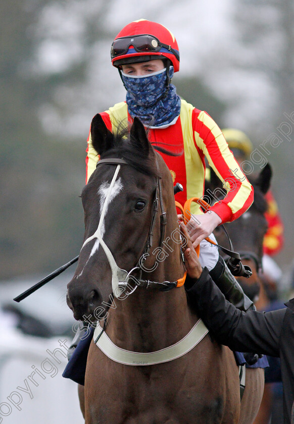 Twilight-Tone-0002 
 TWILIGHT TONE (Darragh Keenan)
Lingfield 25 Jan 2022 - Pic Steven Cargill / Racingfotos.com