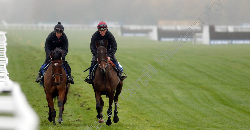 Paisley-Park-and-Mount-Ferris-0001 
 PAISLEY PARK (right, Barry Fenton) with MOUNT FERRIS (left, Joe Anderson)
Coral Gold Cup Gallops Morning
Newbury 21 Nov 2023 - Pic Steven Cargill / Racingfotos.com