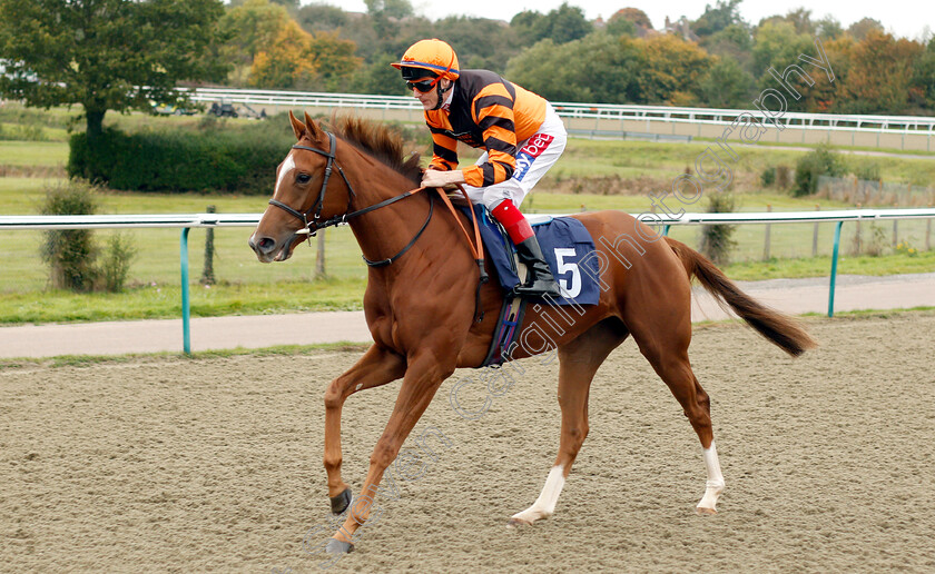 Itizzit-0001 
 ITIZZIT (Fran Berry)
Lingfield 4 Oct 2018 - Pic Steven Cargill / Racingfotos.com