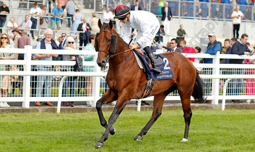 Bouttemont-0001 
 BOUTTEMONT (Dylan Browne McMonagle)
The Curragh 10 Sep 2023 - Pic Steven Cargill / Racingfotos.com