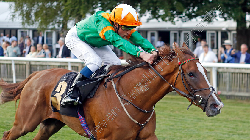 Laguna-Veneta-0005 
 LAGUNA VENETA (William Buick) wins The racingtv.com/freetrial Fillies Handicap
Newmarket 22 Jul 2022 - Pic Steven Cargill / Racingfotos.com