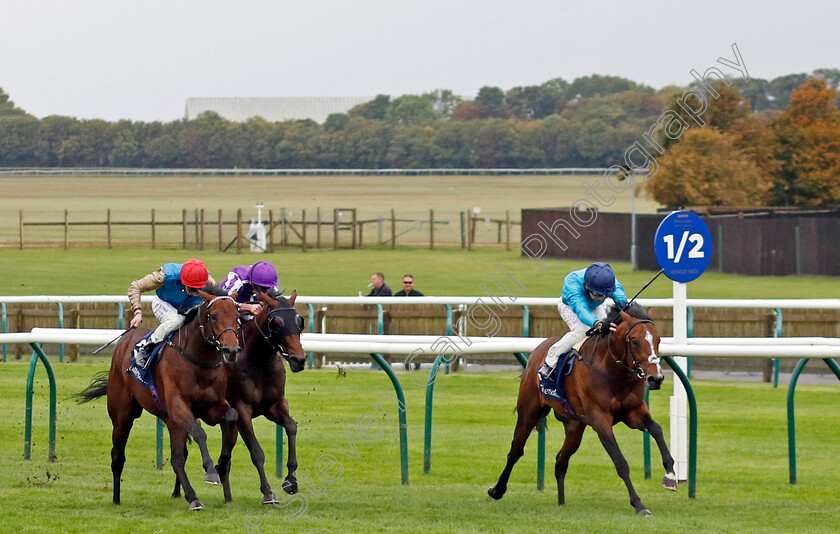 The-Waco-Kid-0004 
 THE WACO KID (Oisin Murphy) wins The Tattersalls Stakes
Newmarket 26 Sep 2024 - Pic Steven Cargill / Racingfotos.com