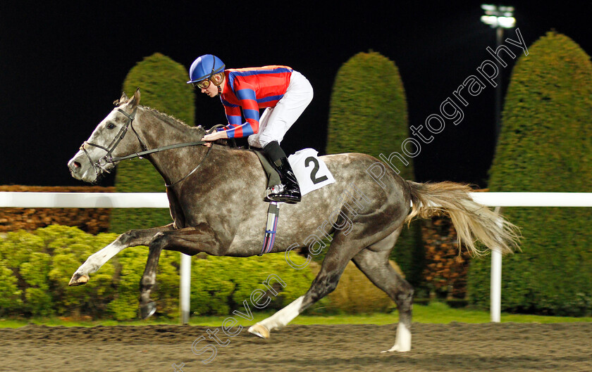 Arctic-Vega-0006 
 ARCTIC VEGA (Rob Hornby) wins The 32Red On The App Store Maiden Stakes Div1
Kempton 19 Feb 2020 - Pic Steven Cargill / Racingfotos.com