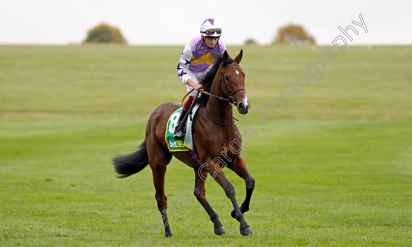 Prosperous-Voyage 
 PROSPEROUS VOYAGE (Rob Hornby)
Newmarket 8 Oct 2021 - Pic Steven Cargill / Racingfotos.com