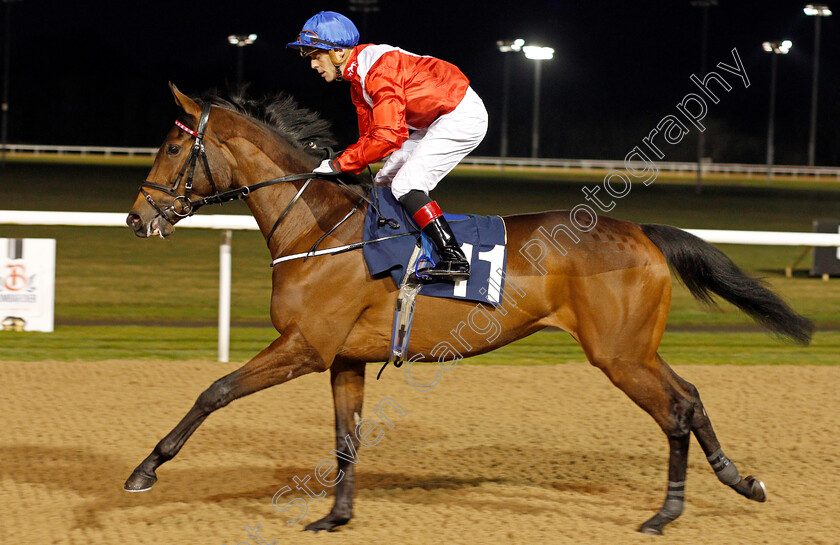 Vega s-Angel-0002 
 VEGA'S ANGEL (Ben Curtis)
Wolverhampton 20 Jan 2020 - Pic Steven Cargill / Racingfotos.com