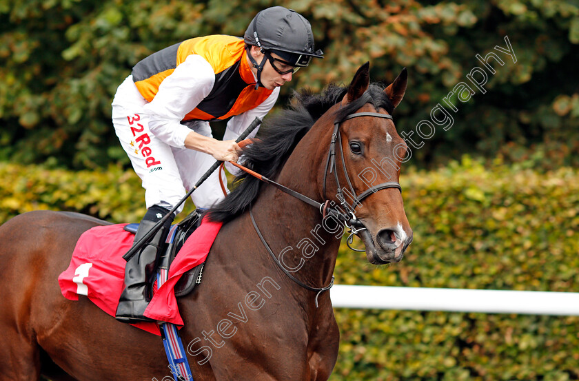 Teppal-0001 
 TEPPAL (Jamie Spencer) winner of The Matchbook British Stallion Studs EBF Fillies Novice Stakes Div1 Kempton 25 Sep 2017 - Pic Steven Cargill / Racingfotos.com