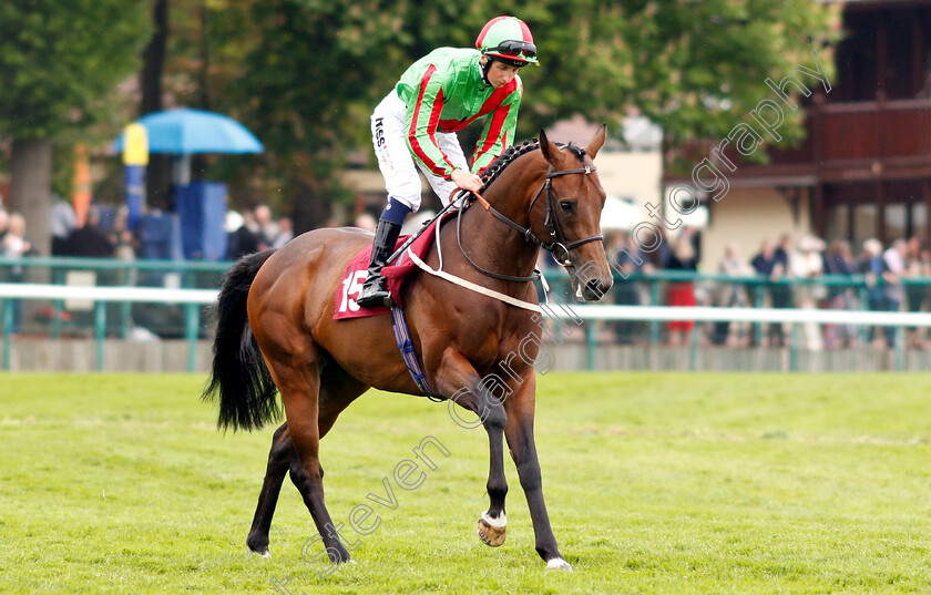 Reggae-Runner-0001 
 REGGAE RUNNER (Andrew Breslin)
Haydock 25 May 2019 - Pic Steven Cargill / Racingfotos.com