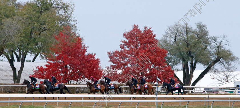 Aidan-O Brien-String-0001 
 The Aidan O'Brien string training for the Breeders' Cup 
Keeneland USA 1 Nov 2022 - Pic Steven Cargill / Racingfotos.com