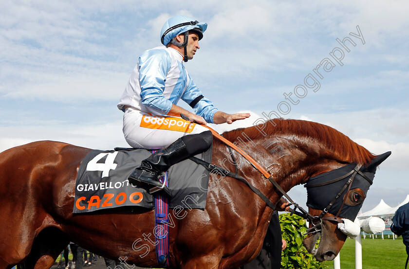 Giavellotto-0002 
 GIAVELLOTTO (Neil Callan)
Doncaster 11 Sep 2022 - Pic Steven Cargill / Racingfotos.com