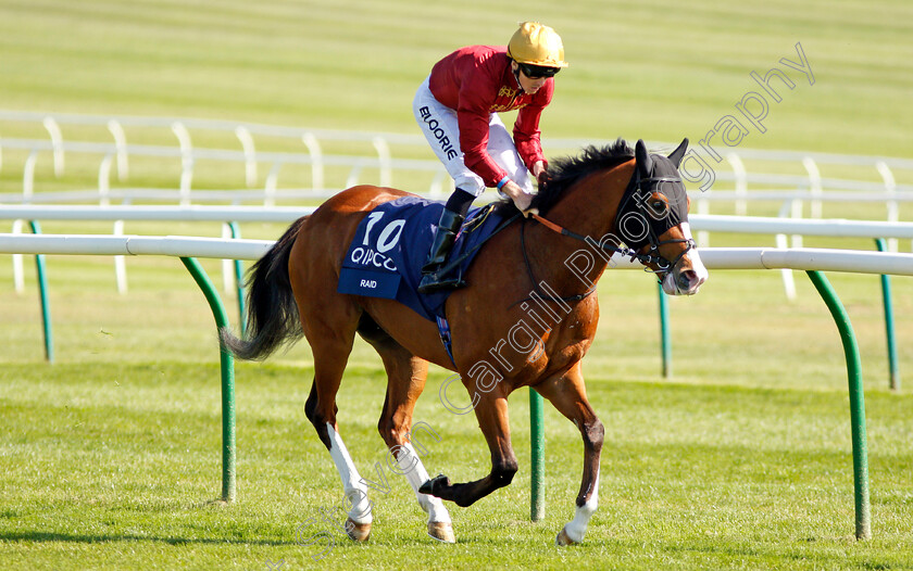 Raid-0001 
 RAID (Martin Harley) Newmarket 5 May 2018 - Pic Steven Cargill / Racingfotos.com