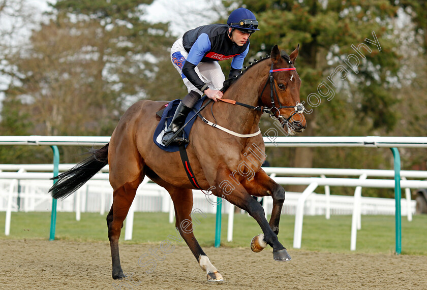 Media-Shooter-0001 
 MEDIA SHOOTER (Clifford Lee)
Lingfield 20 Jan 2024 - Pic Steven Cargill / Racingfotos.com