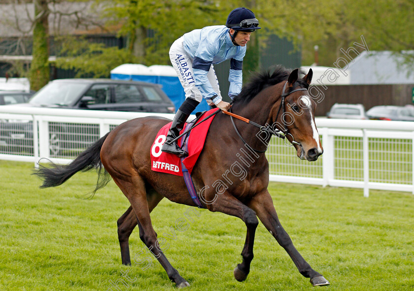 Precision-0001 
 PRECISION (Pat Dobbs) Salisbury 29 Apr 2018 - Pic Steven Cargill / Racingfotos.com