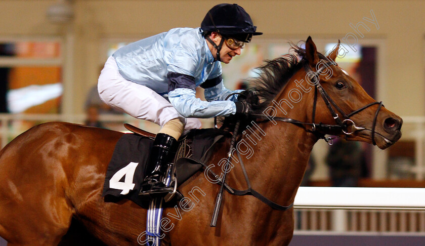 Fantail-0012 
 FANTAIL (Joe Fanning) wins The Bet totetrifecta At totesport.com EBF Fillies Novice Stakes
Chelmsford 19 Nov 2019 - Pic Steven Cargill / Racingfotos.com