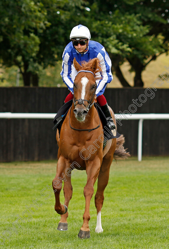 Leuven-Power-0001 
 LEUVEN POWER (Jefferson Smith)
Newmarket 30th July 2022 - Pic Steven Cargill / Racingfotos.com