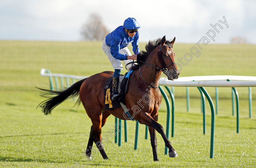 Noble-Dynasty-0002 
 NOBLE DYNASTY (William Buick)
Newmarket 30 Oct 2021 - Pic Steven Cargill / Racingfotos.com