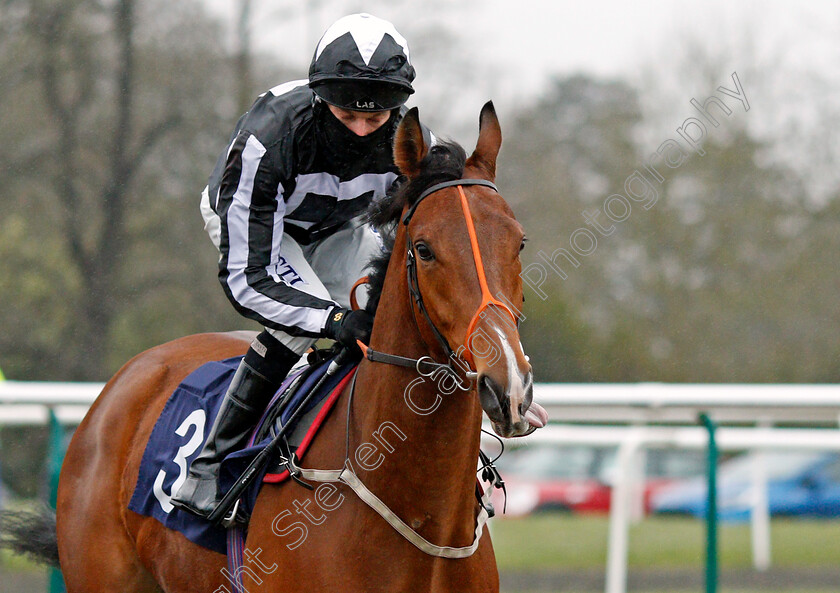 Drury-Lane-0001 
 DRURY LANE (Luke Morris)
Lingfield 10 Mar 2021 - Pic Steven Cargill / Racingfotos.com