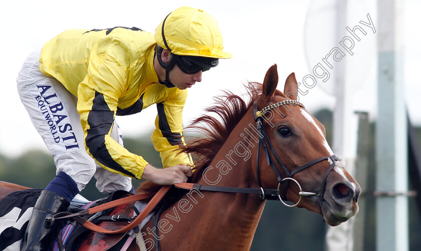 Shumookhi-0008 
 SHUMOOKHI (Oisin Murphy) wins The Byerley Stud St Hugh's Stakes
Newbury 17 Aug 2018 - Pic Steven Cargill / Racingfotos.com