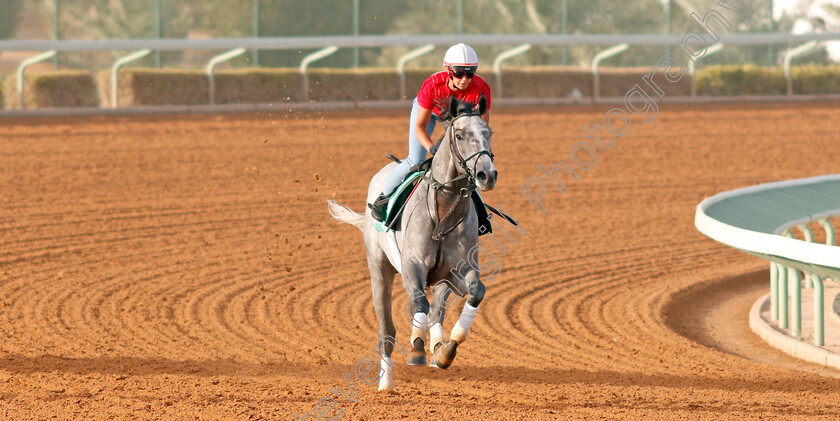 Tacitus-0004 
 TACITUS preparing for The Saudi Cup
Riyadh Racetrack, Kingdom Of Saudi Arabia, 27 Feb 2020 - Pic Steven Cargill / Racingfotos.com