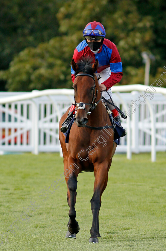 Lovely-Breeze-0001 
 LOVELY BREEZE (Andrea Atzeni)
Lingfield 26 Aug 2020 - Pic Steven Cargill / Racingfotos.com