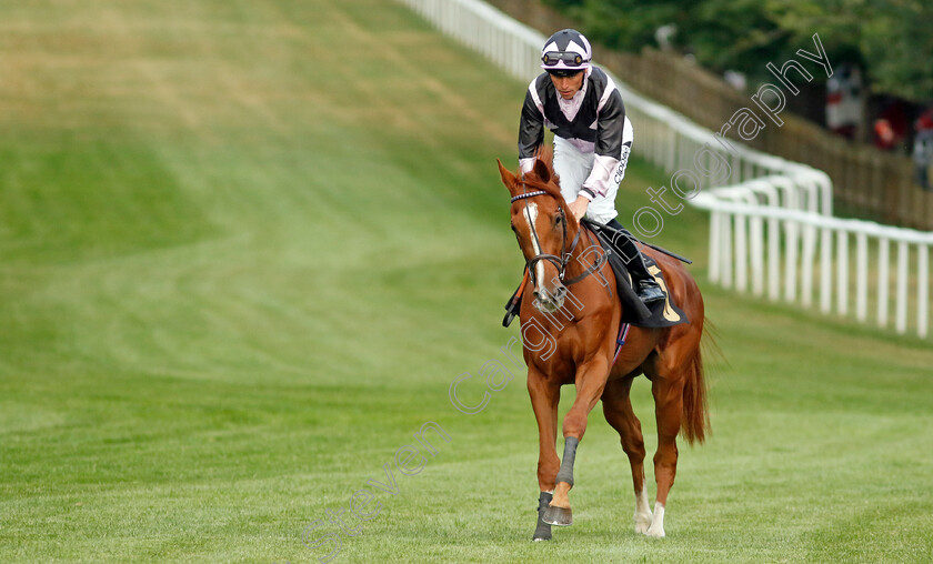 Bulleit-0001 
 BULLEIT (Kieran Shoemark)
Newmarket 22 Jul 2022 - Pic Steven Cargill / Racingfotos.com