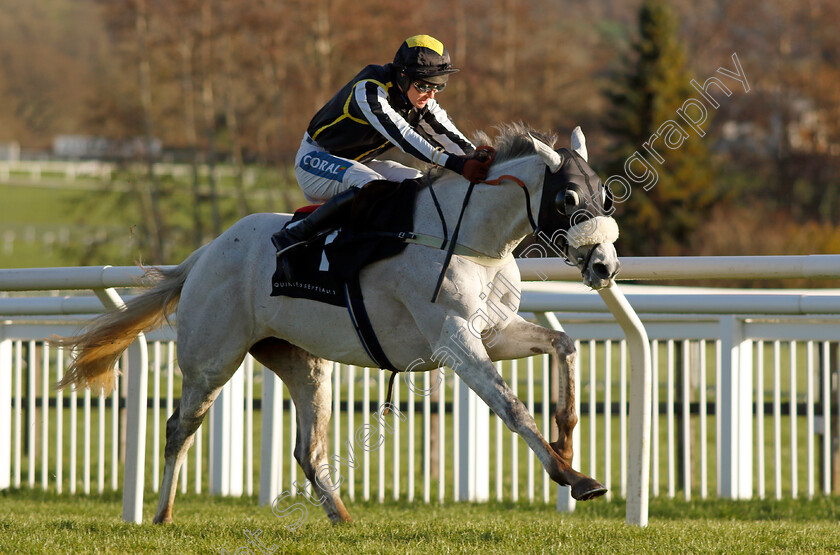 So-Said-I-0003 
 SO SAID I (Brendan Powell)
Cheltenham 14 Dec 2024 - Pic Steven Cargill / Racingfotos.com