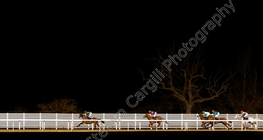 Lucky-Deal-0002 
 LUCKY DEAL (Joe Fanning) in 2nd place on his way to winning The Irish Lotto At totesport.com Handicap
Chelmsford 20 Feb 2019 - Pic Steven Cargill / Racingfotos.com