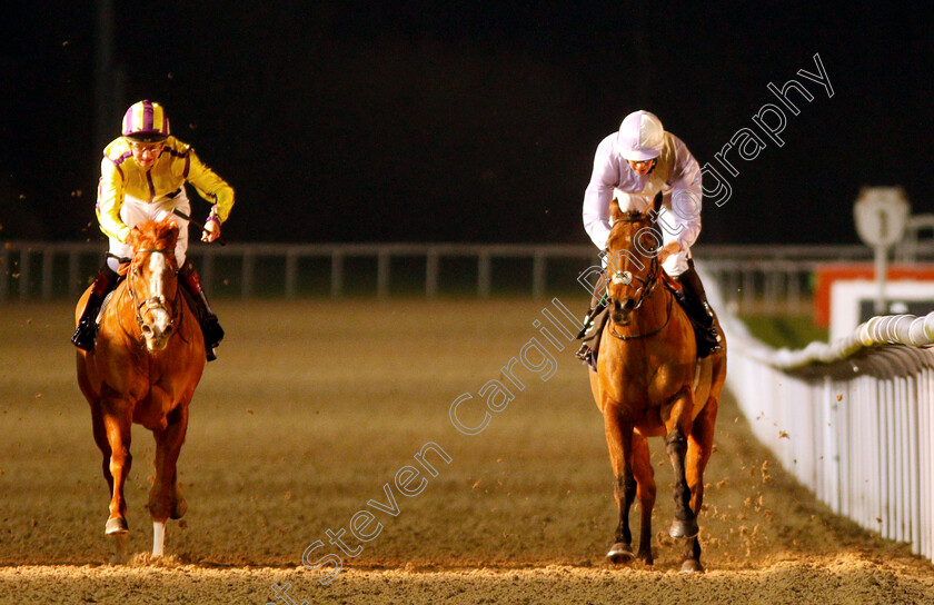 Berlusca-0004 
 BERLUSCA (right, Mark Crehan) beats RUBENSIAN (left) in The Betway Apprentice Handicap
Wolverhampton 10 Dec 2018 - Pic Steven Cargill / Racingfotos.com